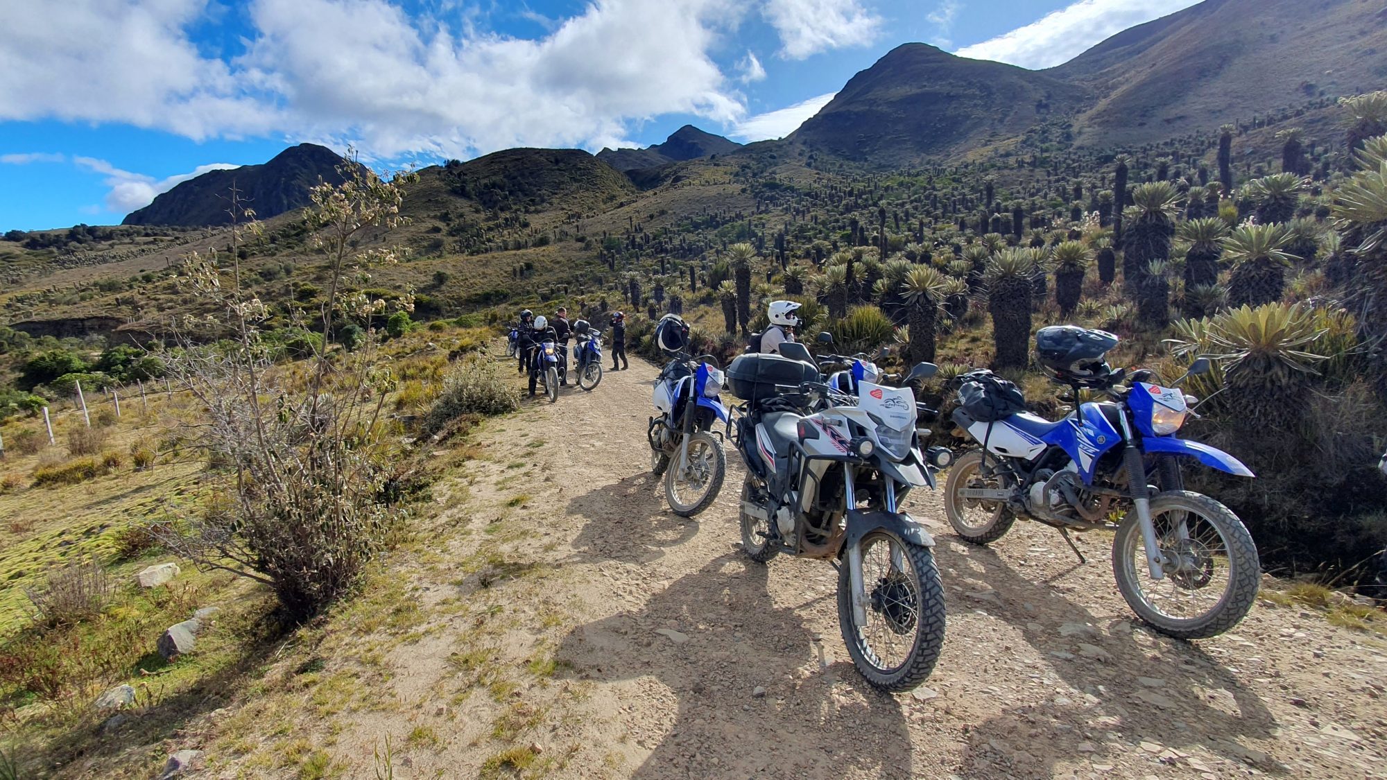 Motocykle na tle espelecji na trasie motocyklowej w Kolumbii